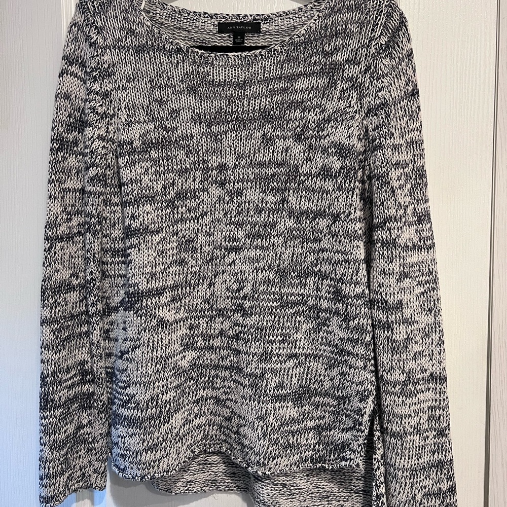 Ann Taylor Blue and White Crew Neck Sweater